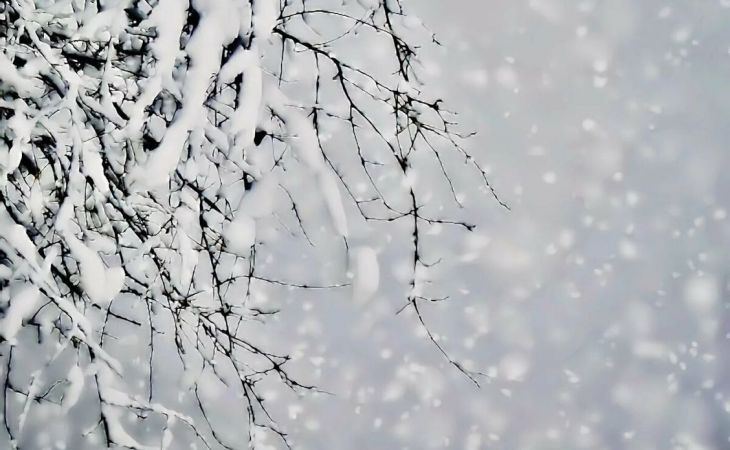 Погода 16 февраля в Алтайском крае: снег, метели и до -17 градусов