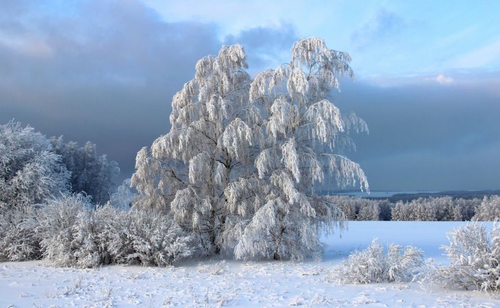 Погода 28 февраля в Алтайском крае: без осадков и до -6 градусов