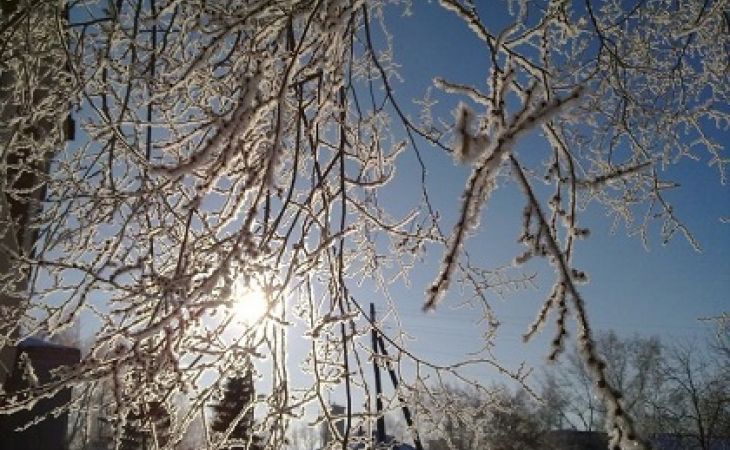 Синоптики предупреждают о ночных заморозках в Алтайском крае