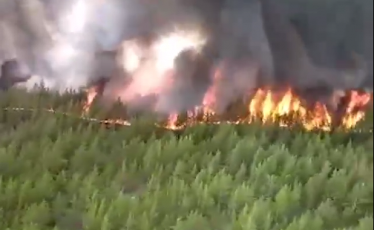 Пожар в Егорьевском районе. Фото: скриншот из видео