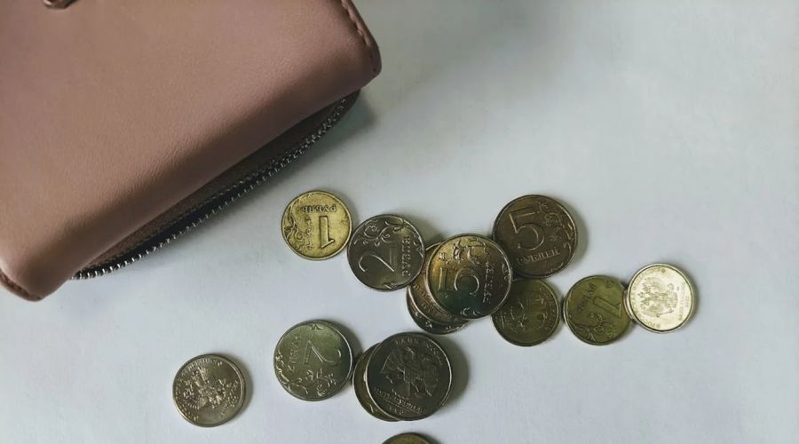 Какие социальные выплаты в Алтайском крае в 2024 году будут проиндексированы?