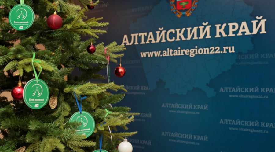 Какие новогодние мечты детей исполнят губернатор Виктор Томенко и краевые министры