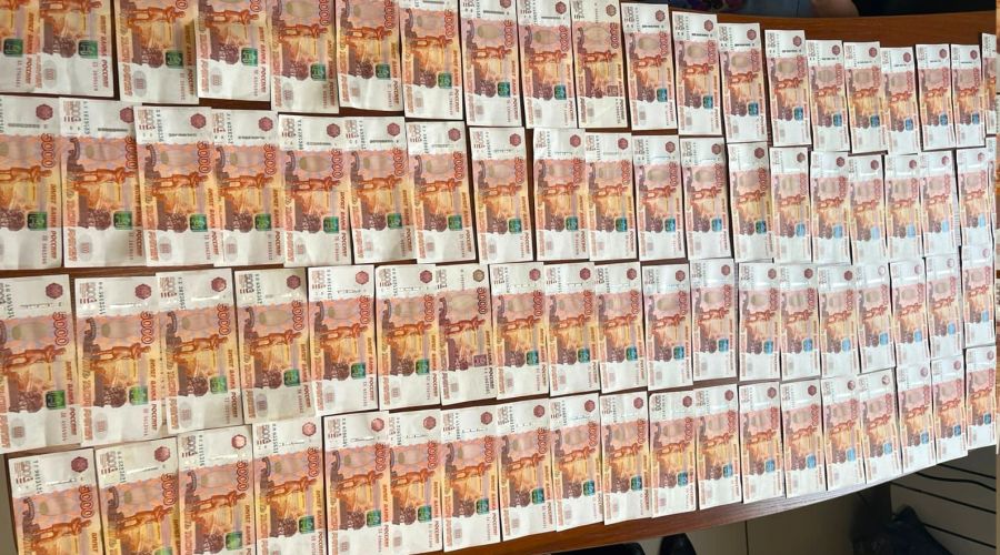 Барнаульская бизнесвумен похитила почти 20 млн рублей и купила квартиру в Питере