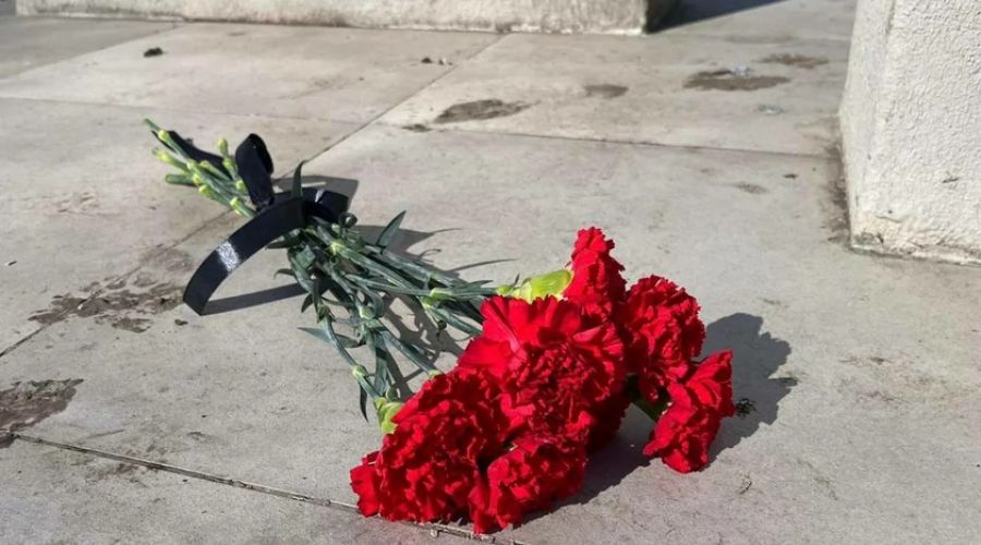 Мизулина упрекнула алтайского блогера, недовольного закрытием ресторана в траур
