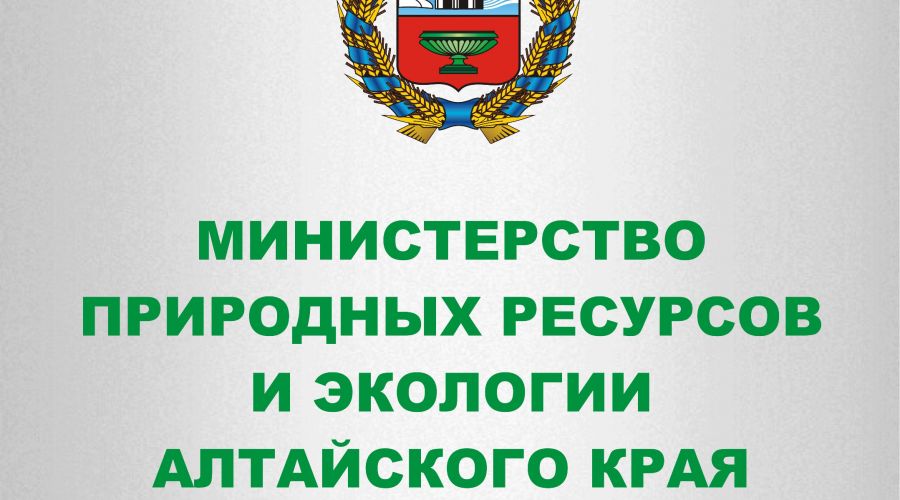 Минприроды Алтайского края получило нового замруководителя