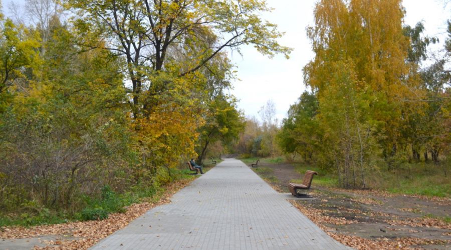 Власти Барнаула благоустроят два городских парков