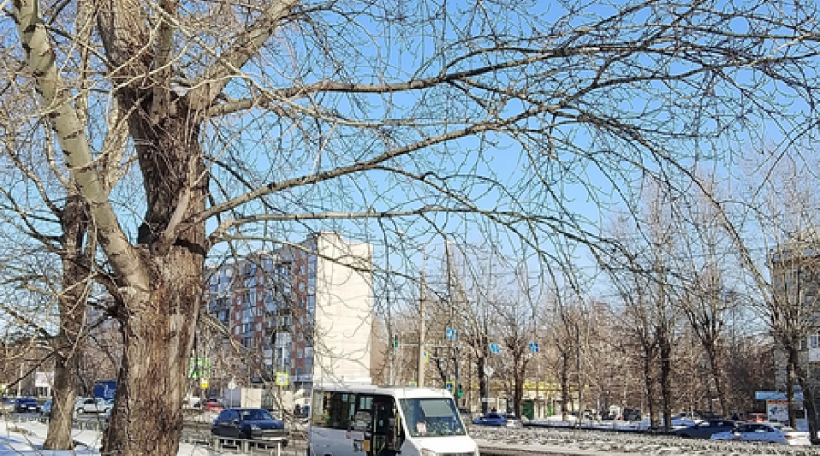В Барнауле &quot;подлетят&quot; цены на проезд в общественном транспорте с 22 марта