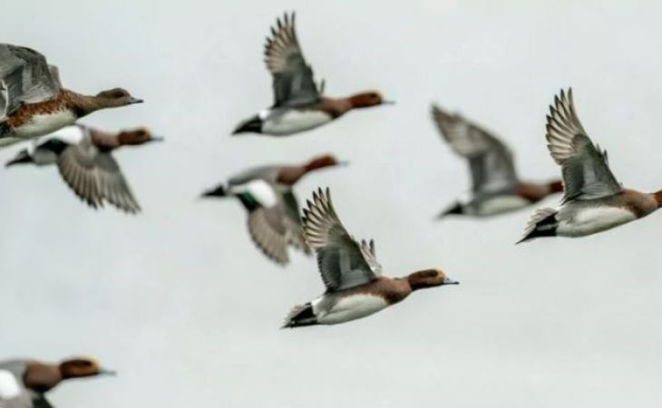 Фото: