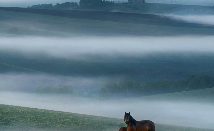 Фото: