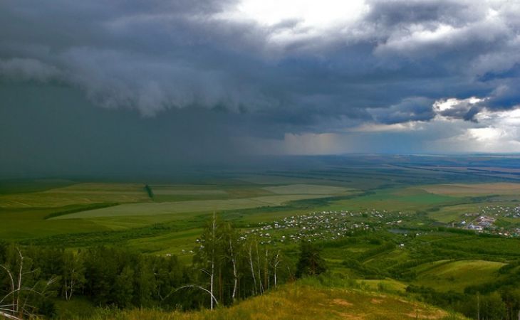 Фото: 