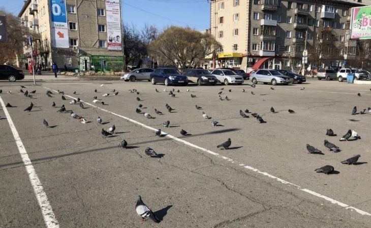 Площадь в Новоалтайске