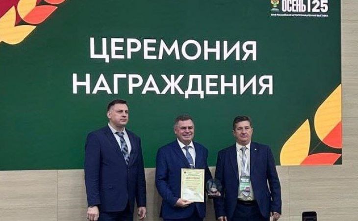 Золотая осень