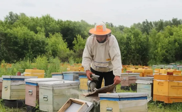 Пчеловодство