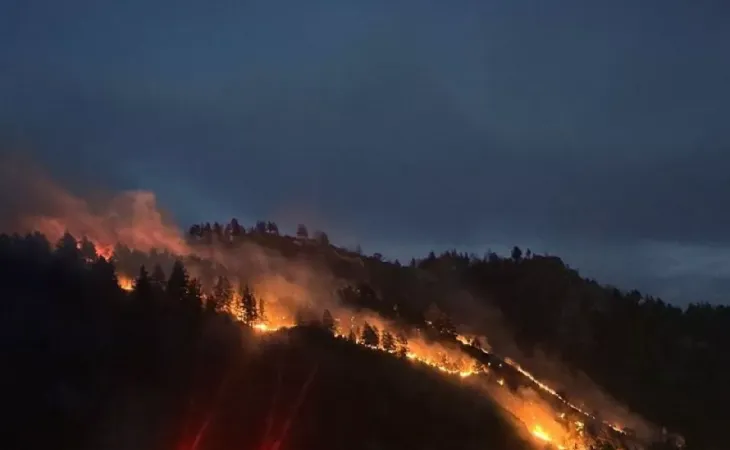 Ландшафтный пожар в урочище Узюк
