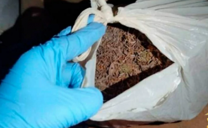 Изъятая партия наркотиков 