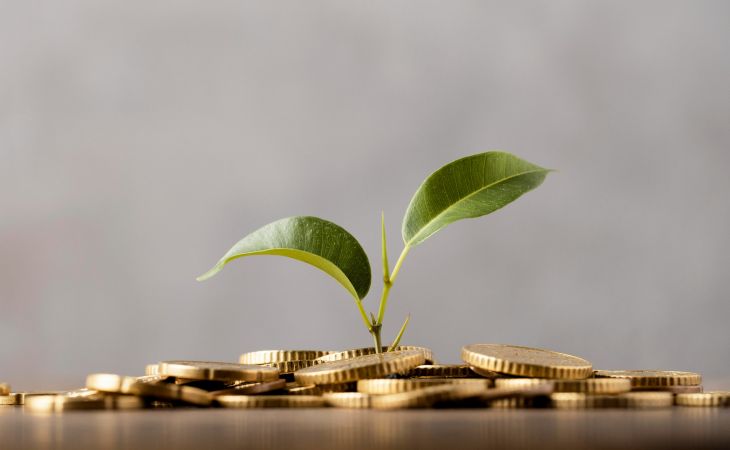 Инвестиции. Деньги