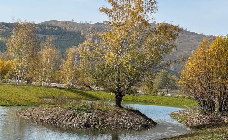 Участок на Чарыше
