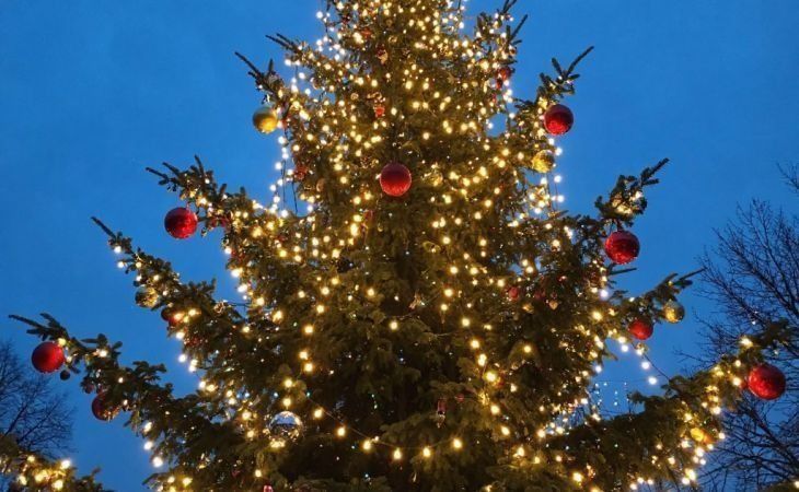 Новогодняя елка