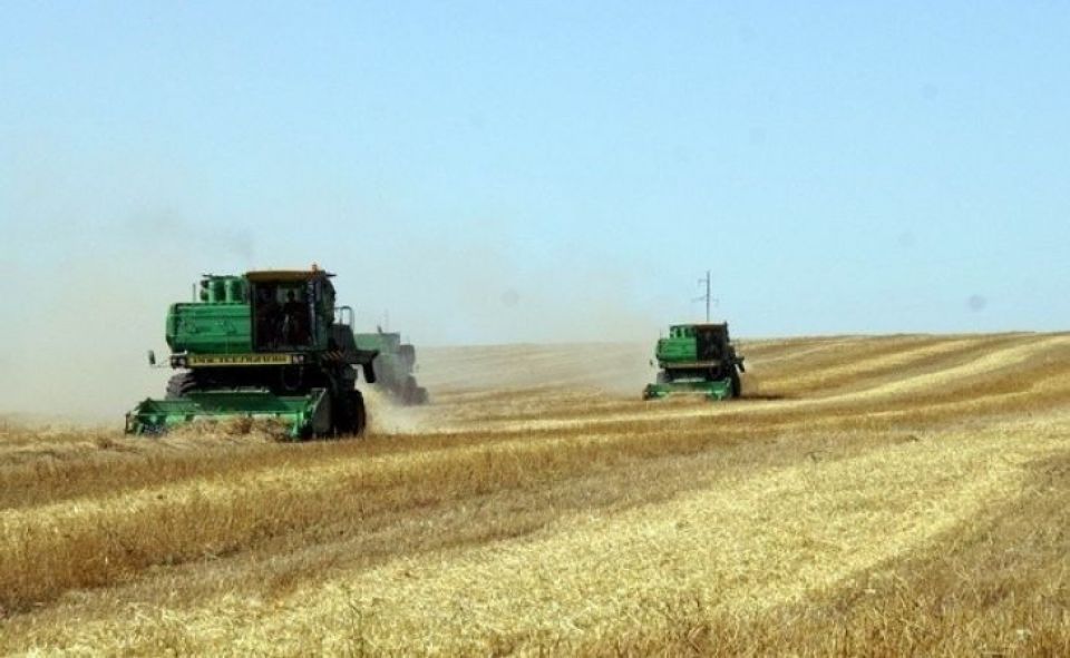 Сельское хозяйство