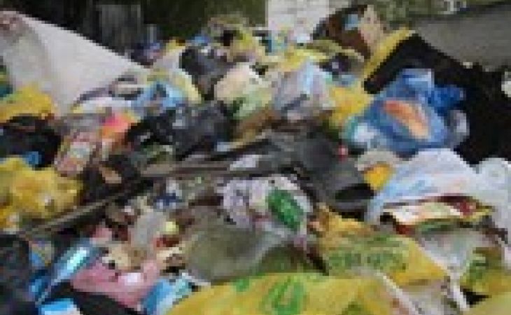 Жители Барнаула требуют от властей убрать мусорные "эвересты"