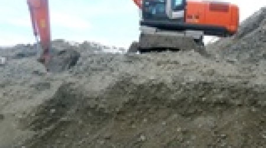 Кости доисторического животного обнаружены на Алтае