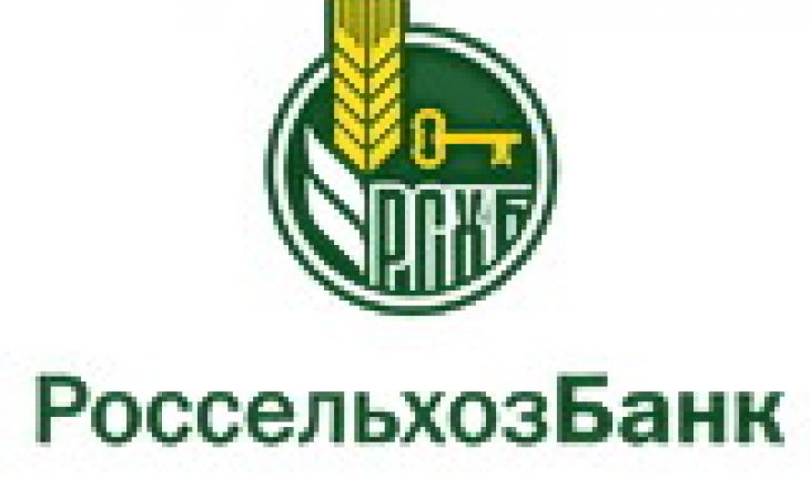 "Россельхозбанк" направил в 2013 году на развитие малого бизнеса около 194,3 млрд рублей