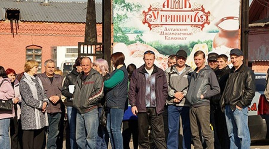 Отчаявшиеся работники предприятия "Изумрудной страны" написали письмо Путину