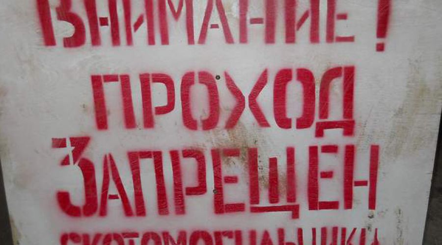 Около 130 скотомогильников отреставрируют в Алтайском крае