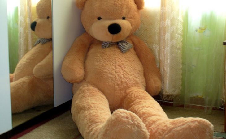 Полицейские Барнаула нашли похитителя двухметрового плюшевого медведя