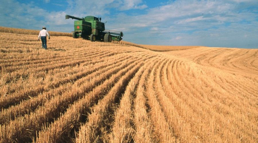 Алтайский край без помощи государства не сможет стать продуктовым донором России