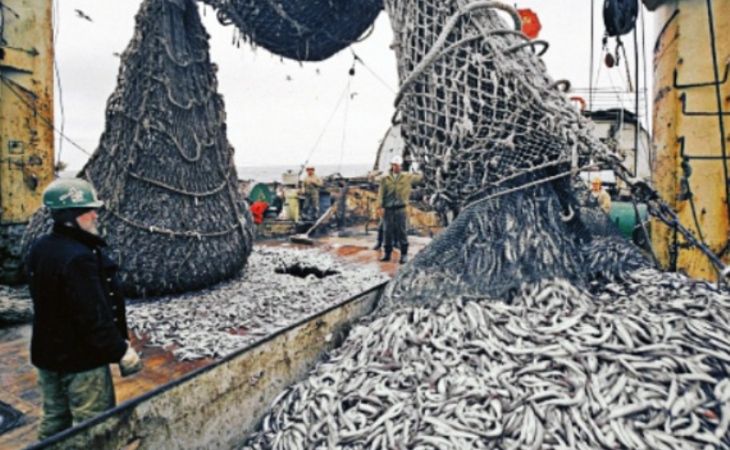 Совфед хочет запретить Японии рыбачить в российских водах