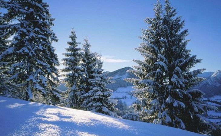 Предстоящая зима станет самой холодной на Алтае за последние пять лет