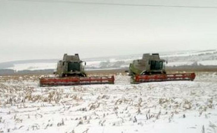 Алтайский край ввел режим ЧС для получения федеральной компенсации за пропавший урожай