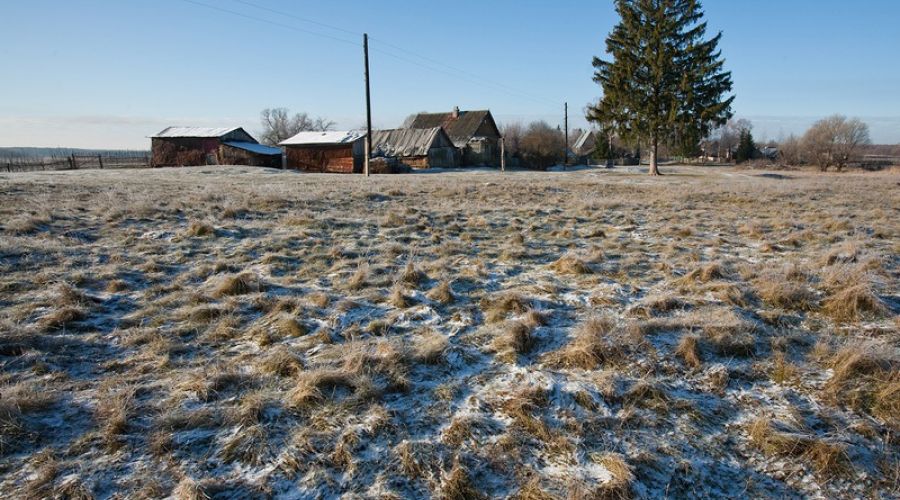 Алтаю можно рассчитывать лишь на бюджетный кредит за погибший урожай