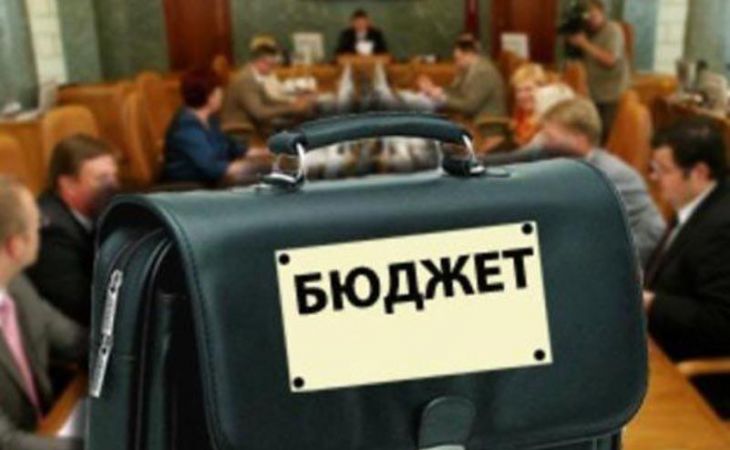 Парламентские партии намерены поддержать предлагаемый властями бюджет Алтайского края