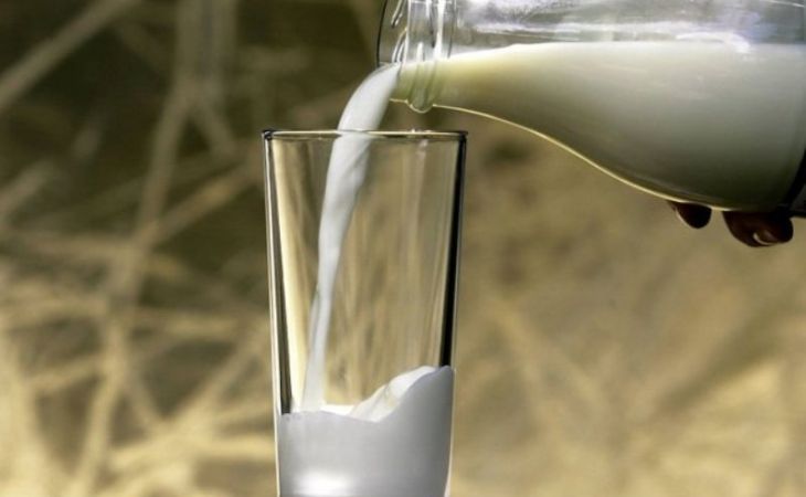 Цена на молоко в Алтайском крае растет как на дрожжах