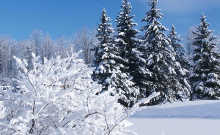 Мороз до -12 градусов ждет жителей Алтая в начале недели