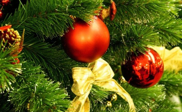 Школьников Алтая на каникулах ждут губернаторские елки, рождественские встречи и цирк