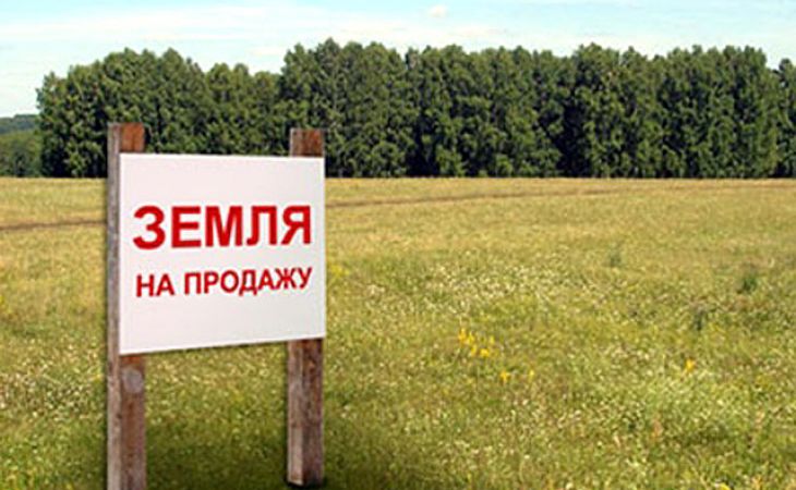 Власти Барнаула продают три участка земли под строительство гостиницы и аптеки