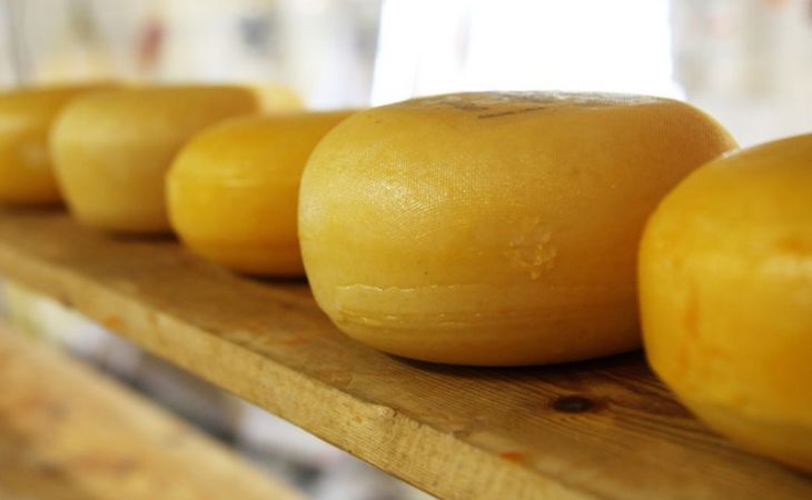 Около девяти тонн европейского сыра пытались перевезти из Казахстана на Алтай