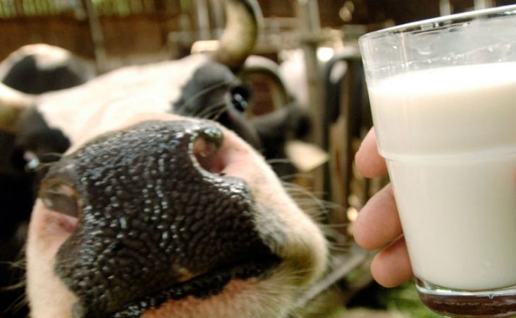 Производители молока потребовали ужесточить продуктовое эмбарго