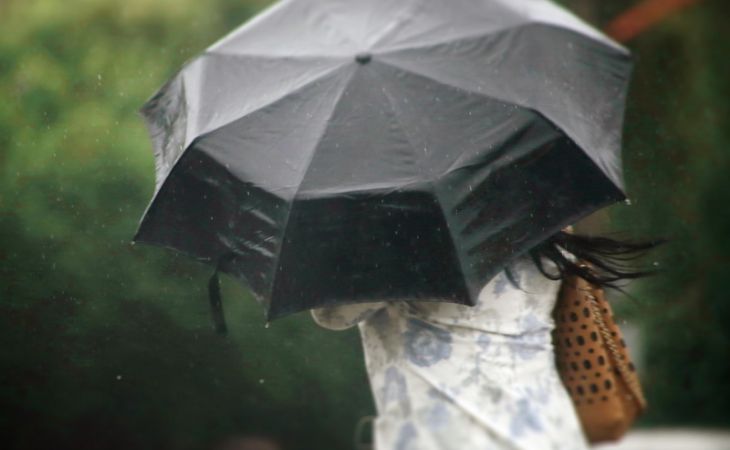 Штормовое предупреждение объявлено на Алтае из-за ветра и дождей