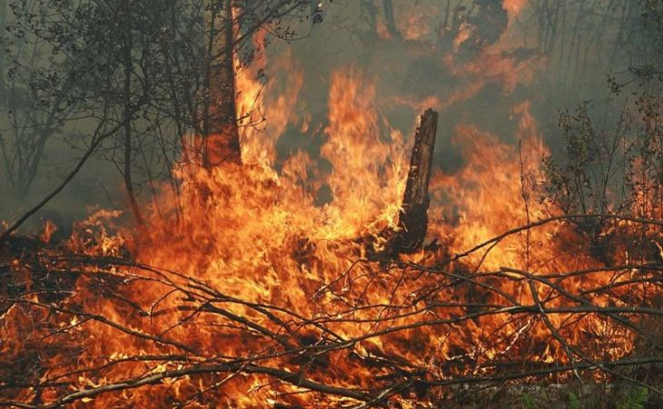 Штормовое предупреждение объявлено в Алтайском крае из-за риска пожаров