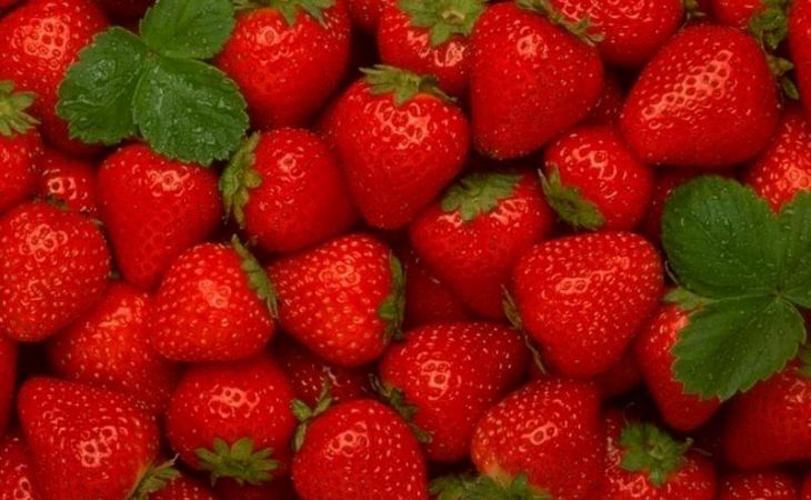 Россельхознадзор лишил жителей Алтая 40 тонн свежих фруктов и овощей