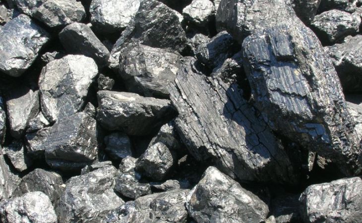 Муниципалитетам Алтайского края разрешили из-за долгов не платить за уголь в 2016 году
