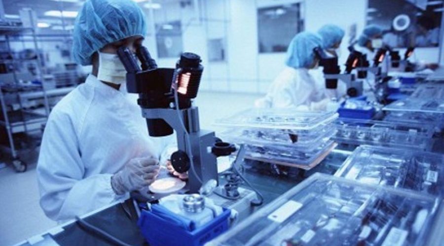 Ученые АлтГУ разработали биопестициды в 3 раза дешевле химических аналогов