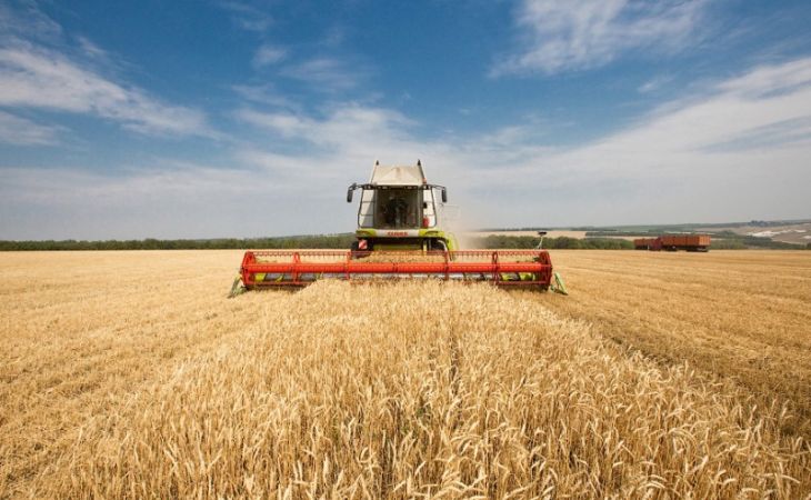 Минсельхоз ожидает, что урожай зерна в России превысит прогнозируемые показатели