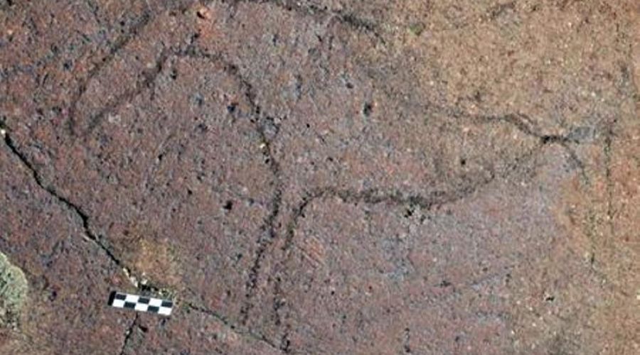 Археологи НГУ нашли древнейшие в Сибири петроглифы на плато Укок