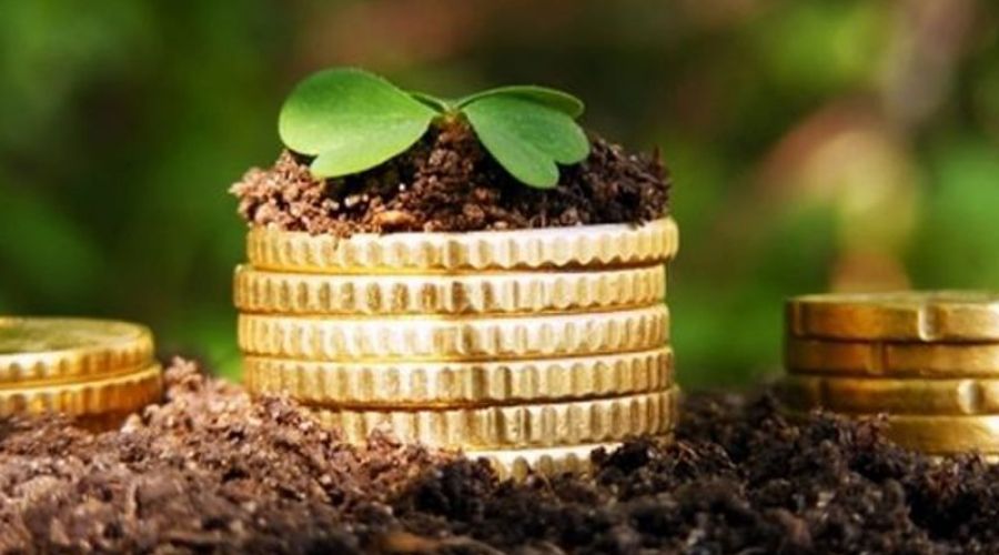 Жители Алтая отдают треть своих доходов на погашение кредитов