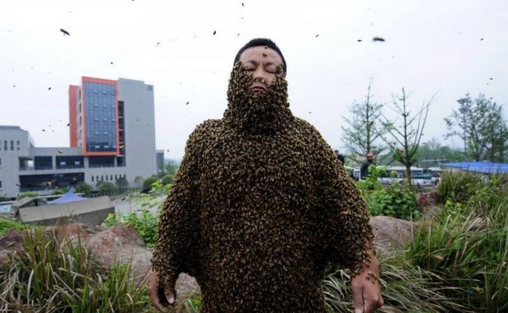 Пчеловоды просят ограничить экспорт европейских сладостей, чтобы завалить Россию медом
